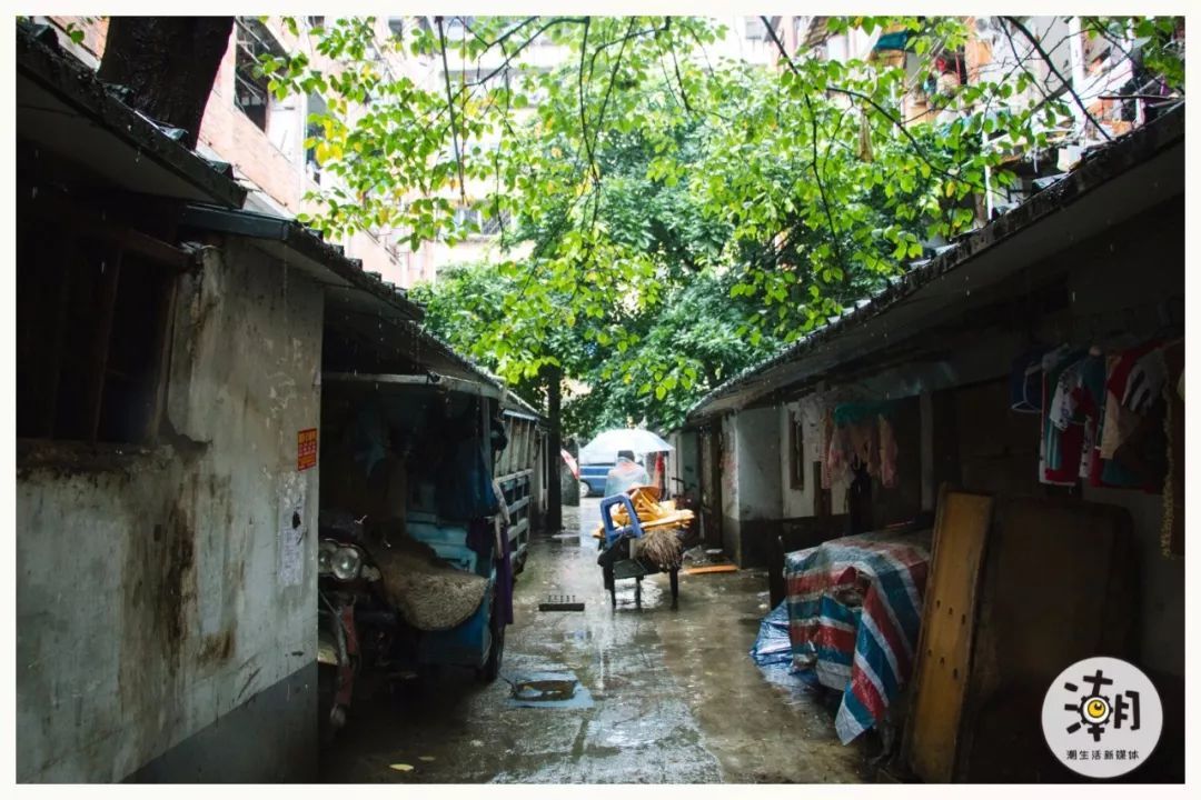 百程旅行网因疫情影响破产关闭阿里为第二大股东_beat365(图3)